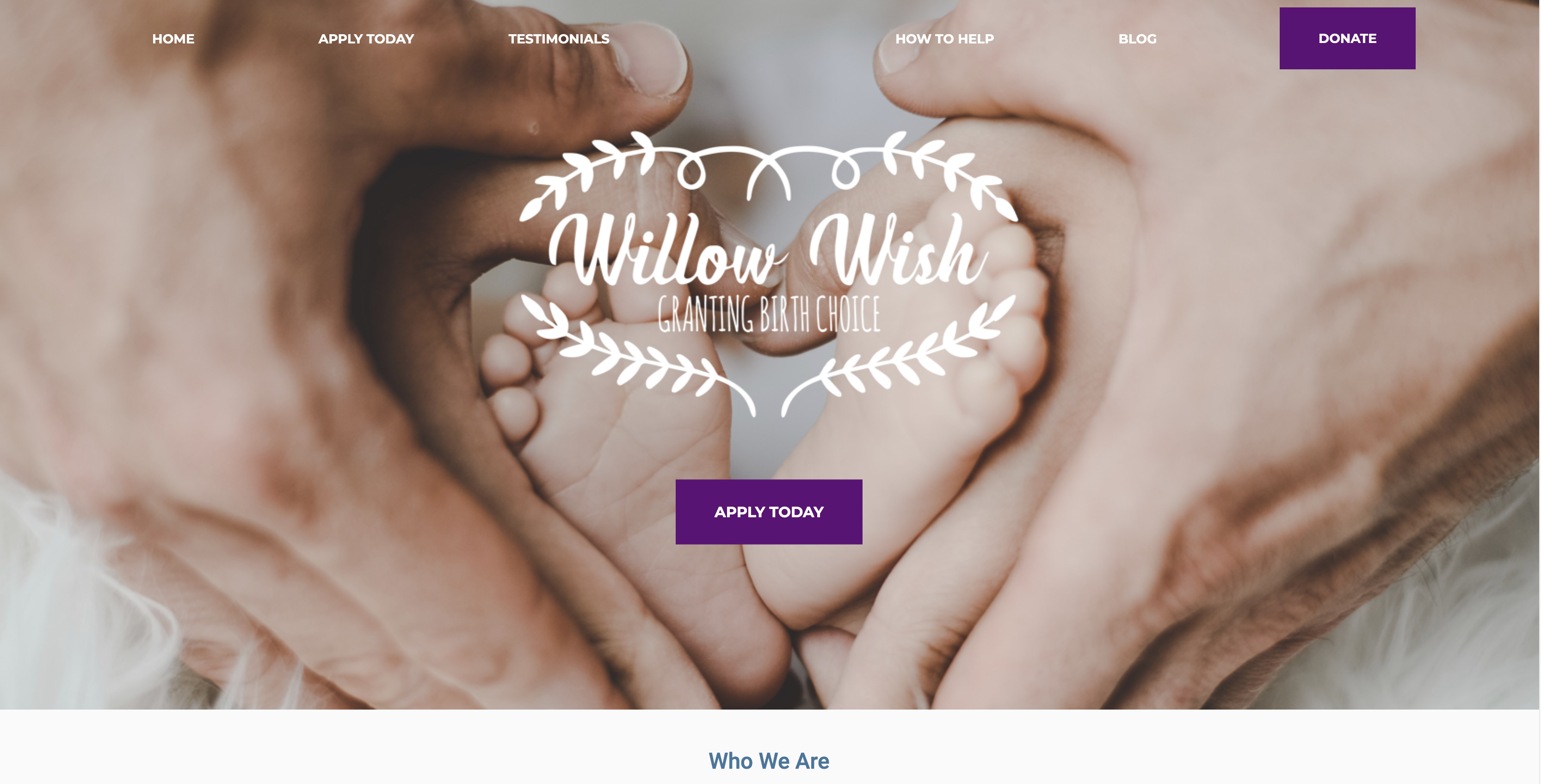 Willow Wish AZ
